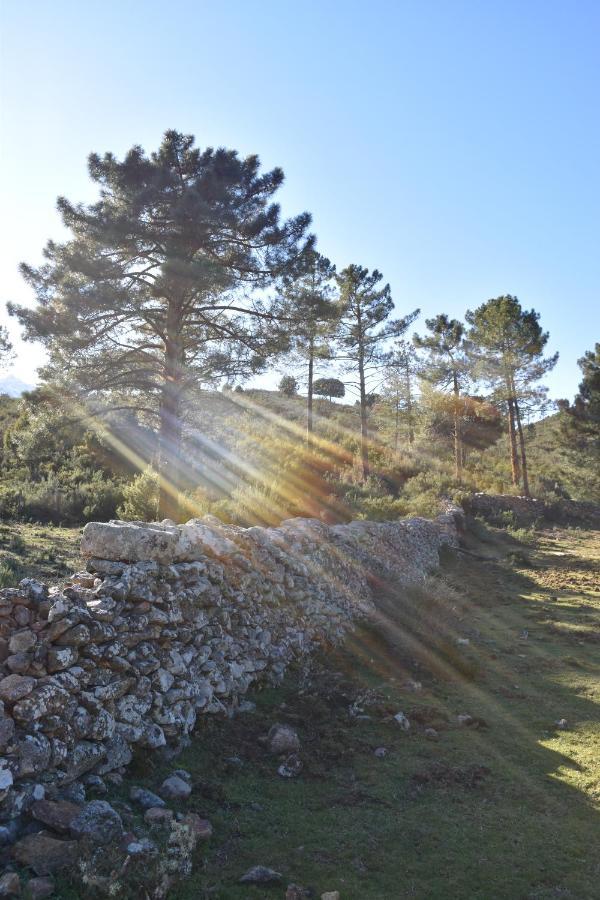 הוילה Moltifao Domaine U Filanciu - Casa Chiara - Centru Di Corsica מראה חיצוני תמונה